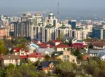 Автомобили класса люкс и крупный бизнес – в Минтруда описали портрет категорий А и В