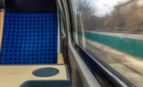 Клопы добрались до поездов: в Великобритании отменяют железнодорожные рейсы